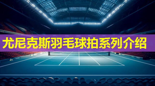 尤尼克斯羽毛球拍系列介绍 尤尼克斯羽毛球拍系列介绍