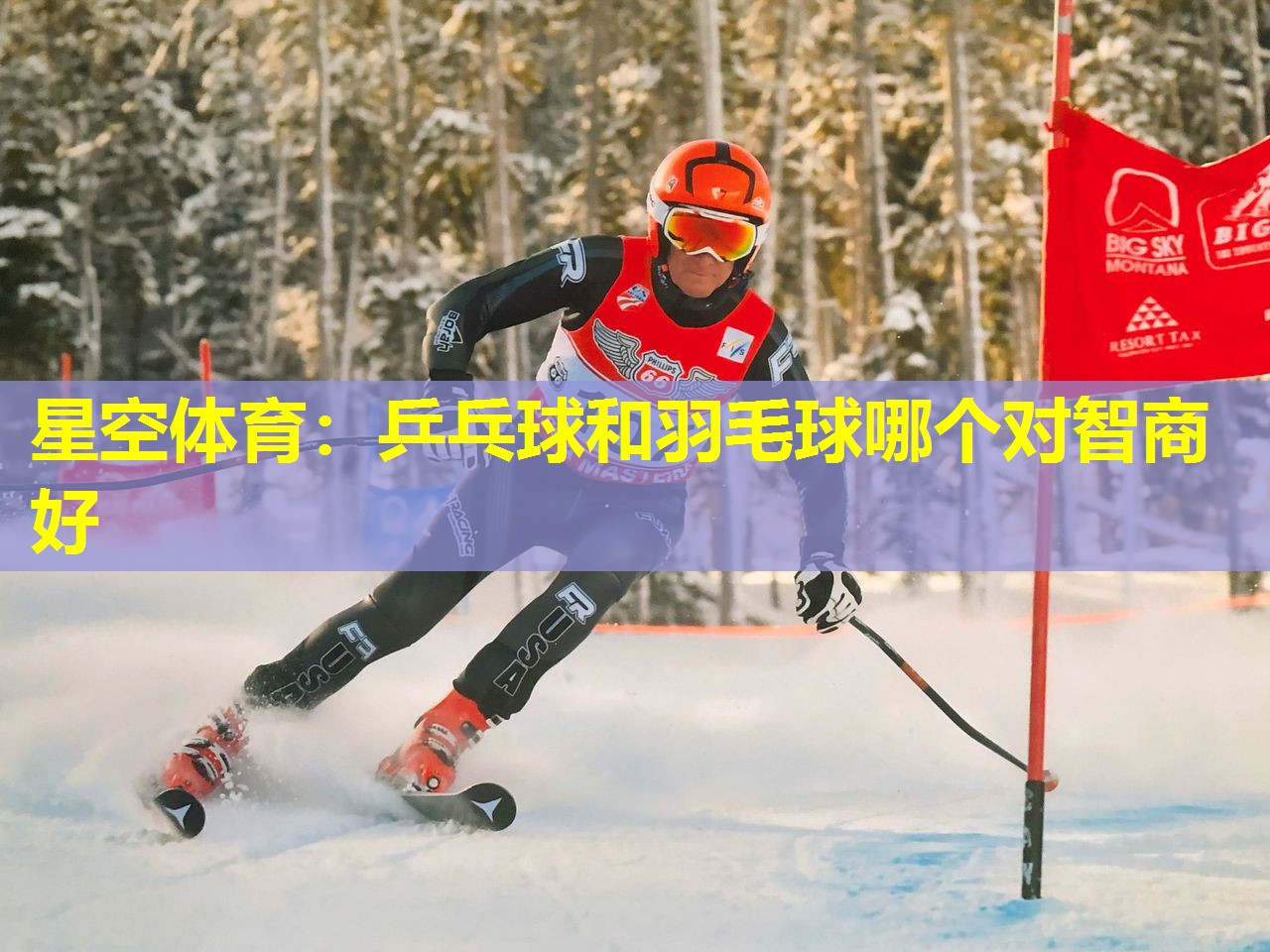 乒乓球和羽毛球哪个对智商好 乒乓球和羽毛球哪个对智商好